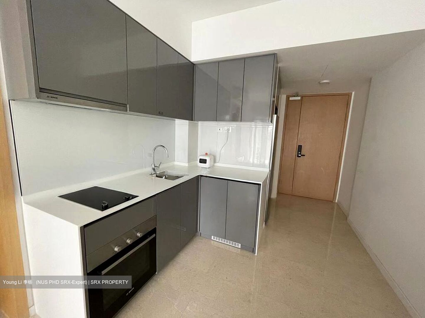 The Tre Ver (D13), Condominium #504315901